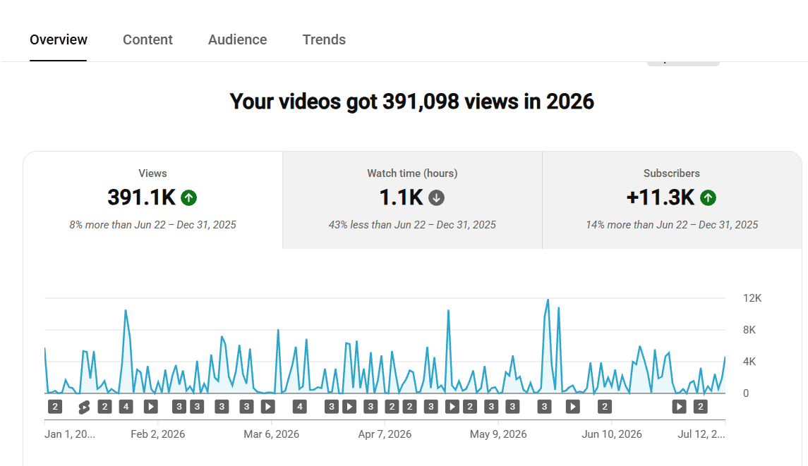 YouTube Studio analytics showing 391,098 views and 11.3K subscribers gained in 2026